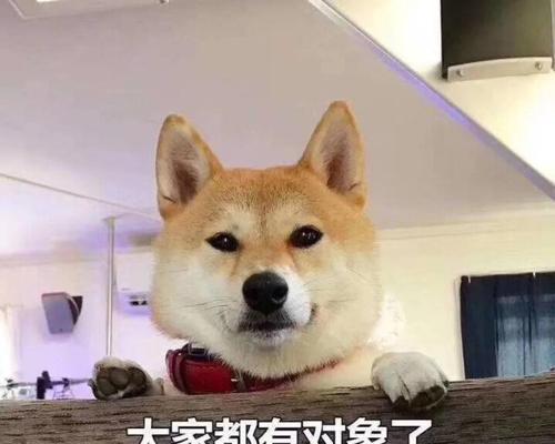 如何使用挽回高女友聊天表情包？有效提升聊天氛围的技巧是什么？