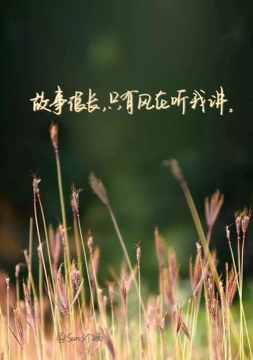 如何通过经典语录找回自尊和自信？
