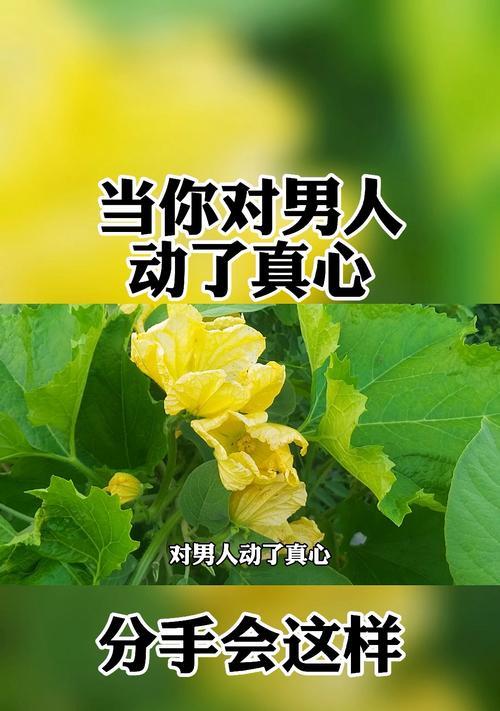 分手后挽回成功率高吗？如何提高复合几率？