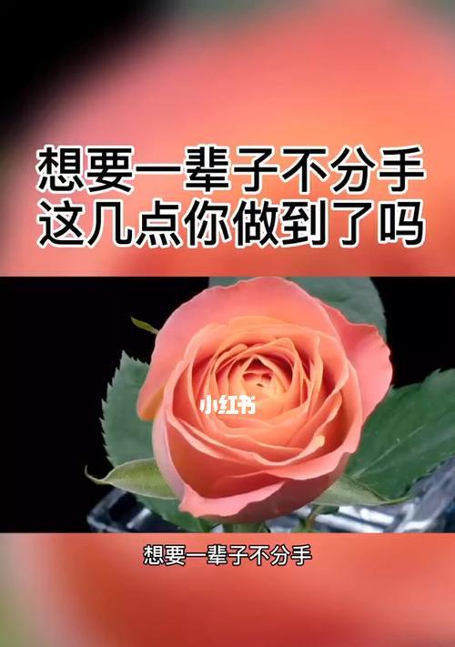 分手后如何挽回男朋友的心？有效策略有哪些？