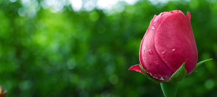 离婚女人如何重拾自信（提升自我价值）