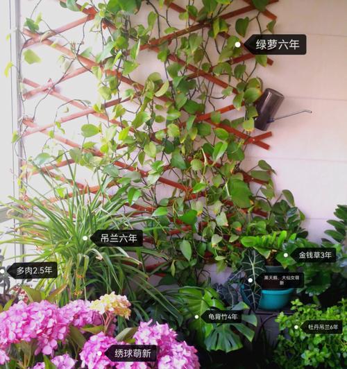 爱情海绣球花公园在哪里？为什么值得一去？