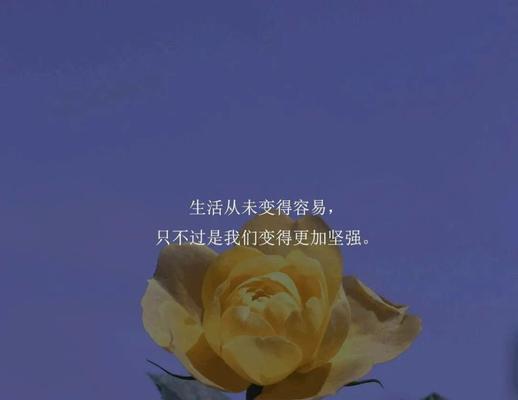 如何用励志温柔的文案挽回男友？高级挽回策略是什么？