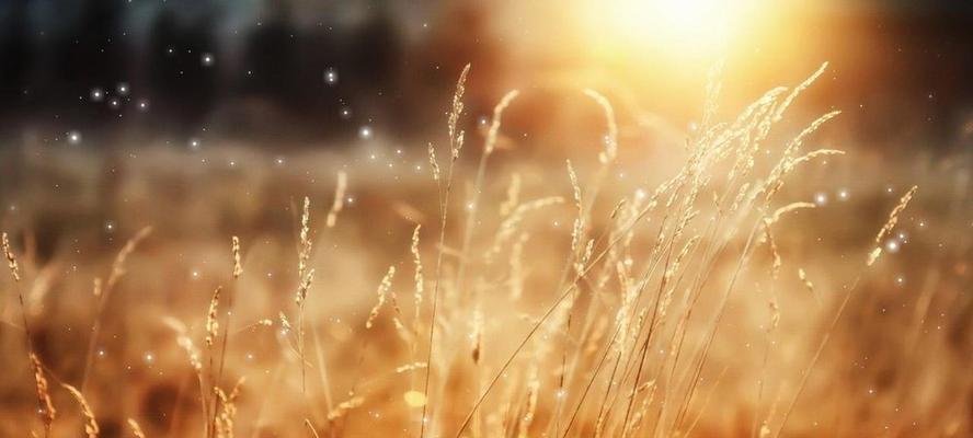 累了该怎么挽回爱情说说？有效沟通和理解是关键吗？