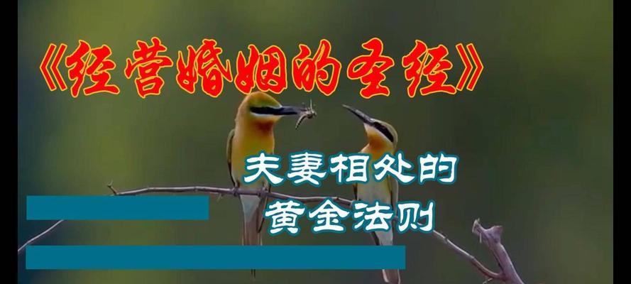 夫妻相处攻略（两夫妻共同努力）