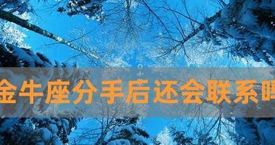 分手不是终点，金牛男还有复合的机会（如何重新获得他的心）